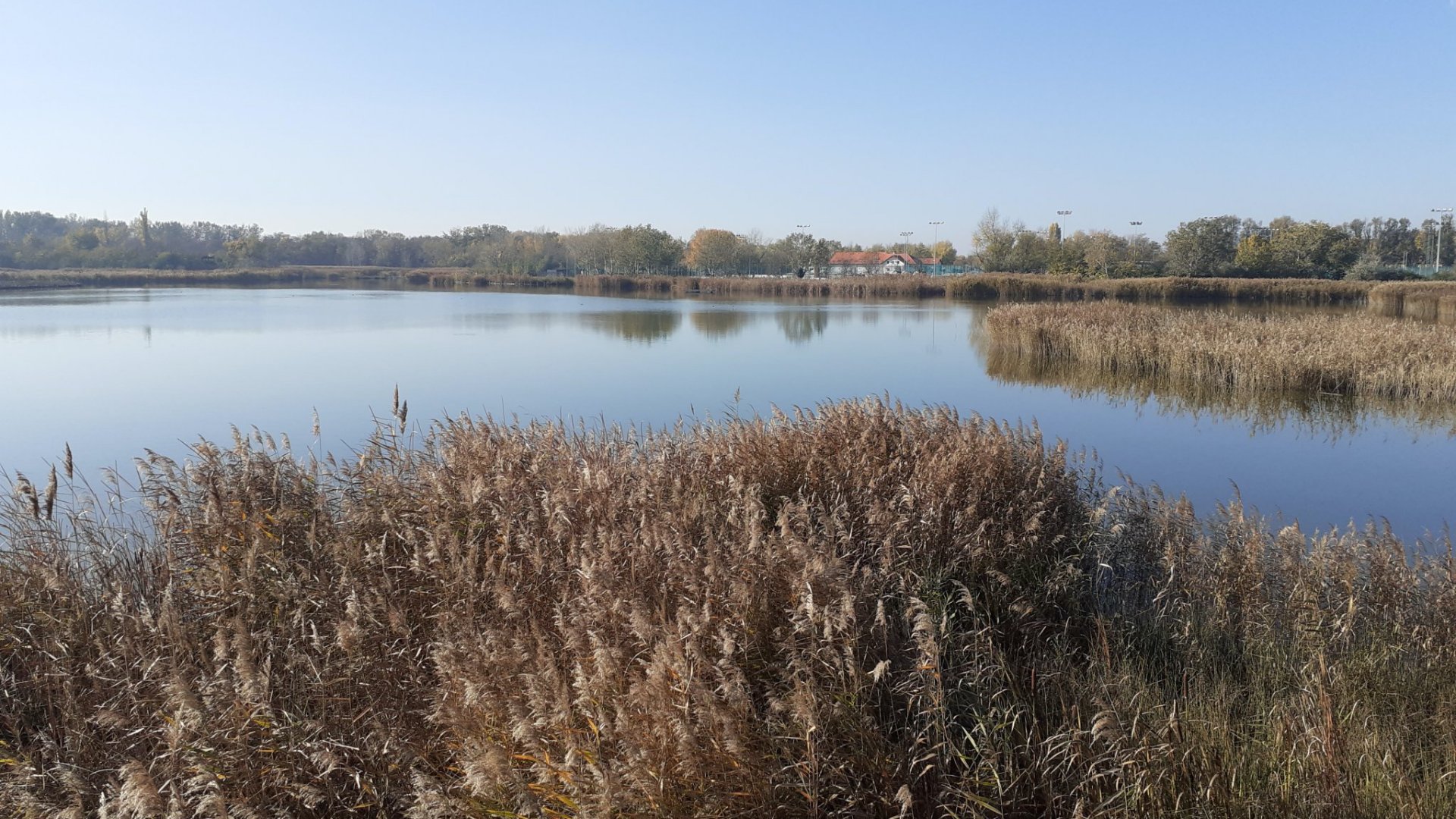 Sóstó tanösvény Székesfehérváron