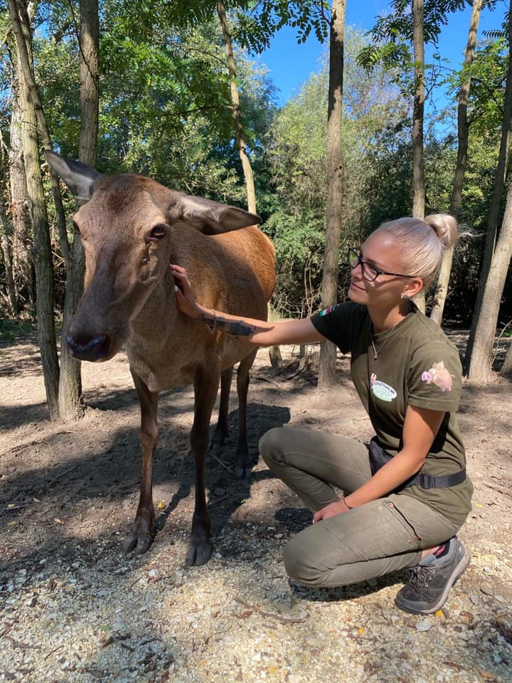 Így élnek túl a vadasparkok a koronavírus-járvány alatt