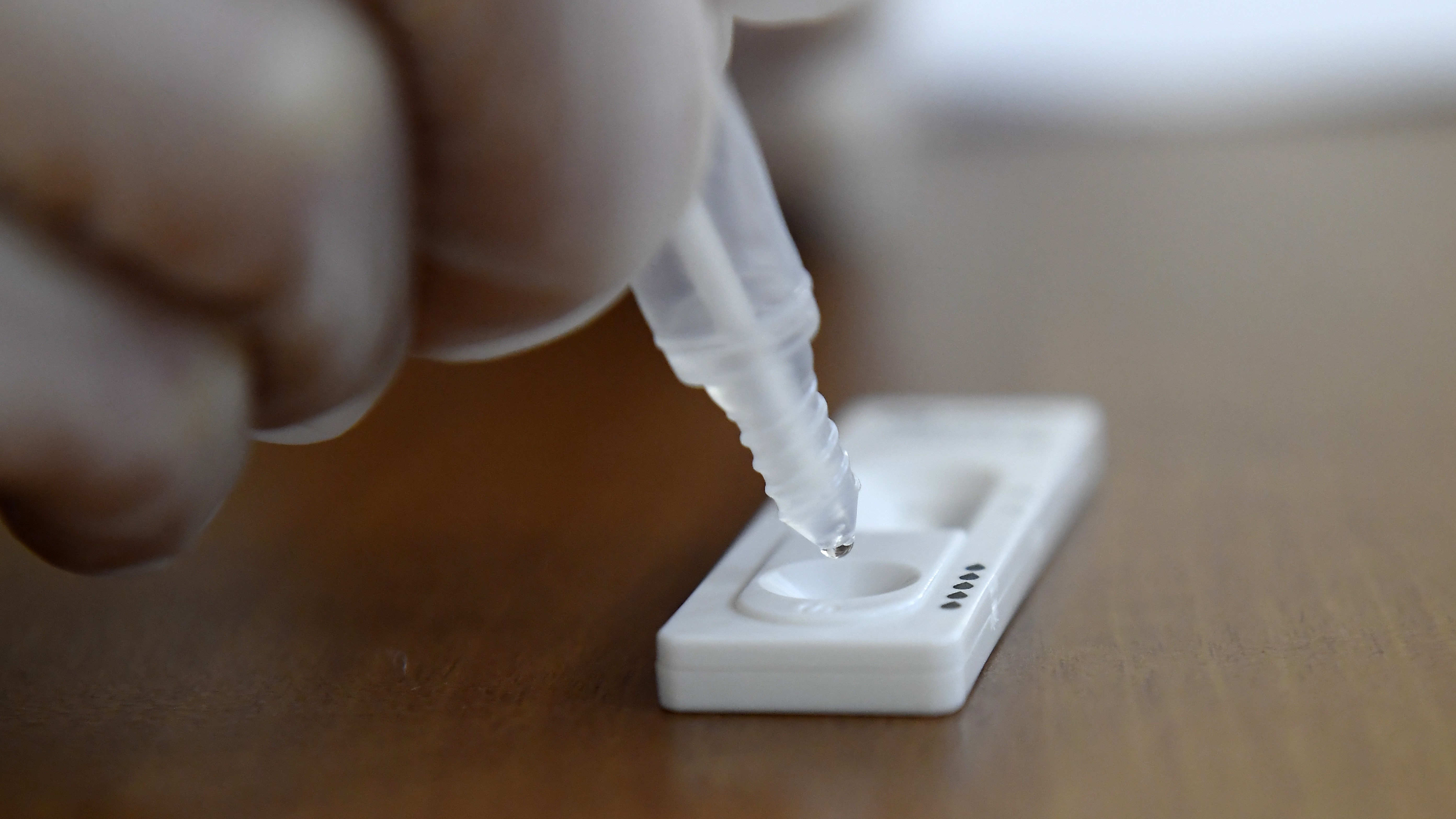 Koronavírusteszt végzése közben mintát cseppentenek az antigén gyorsteszt paneljére.