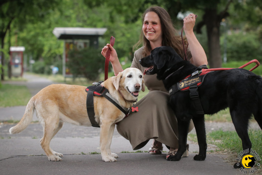 Menhelyi kutyából lett vakvezető kutyák