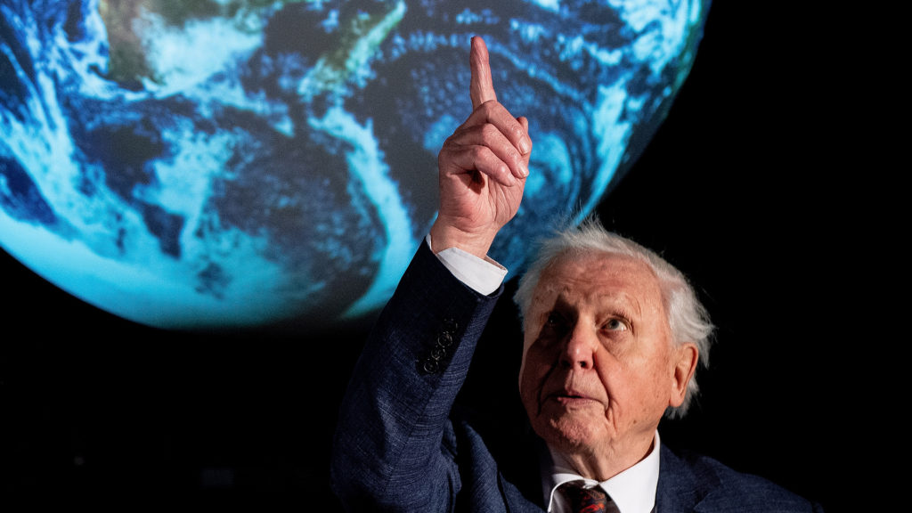 Új sorozattal jelentkezik David Attenborough