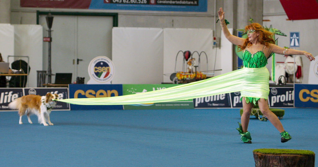 A dog dance amennyire látványos, annyira sok munka van benne