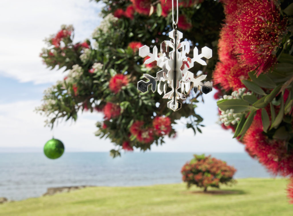 A szigetországban az úgynevezett pohutukawa fákat szokták feldíszíteni