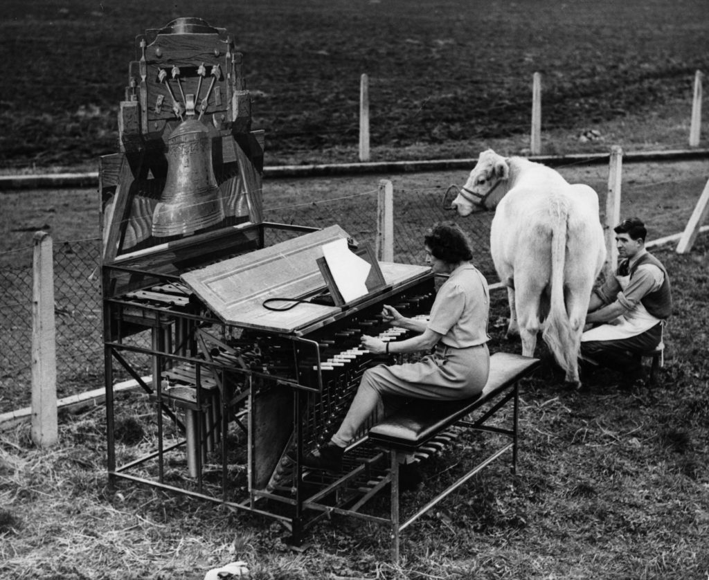 Most aztán lerántjuk a leplet a tejtermékekről!