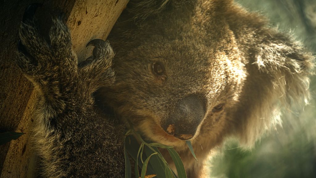 Viasat World ajánlat nyereményjáték