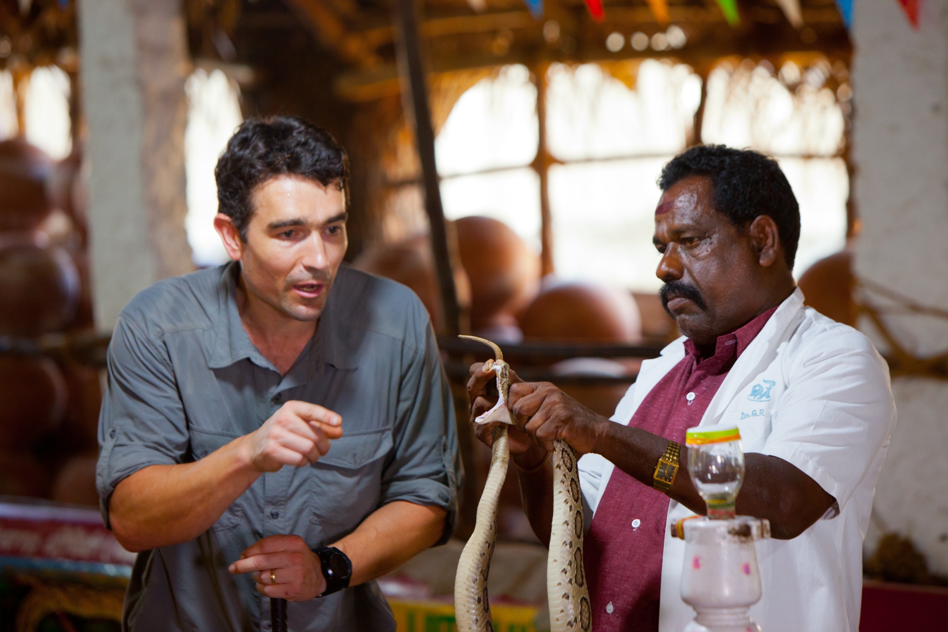 Mit tesz a vadállatokkal az ember