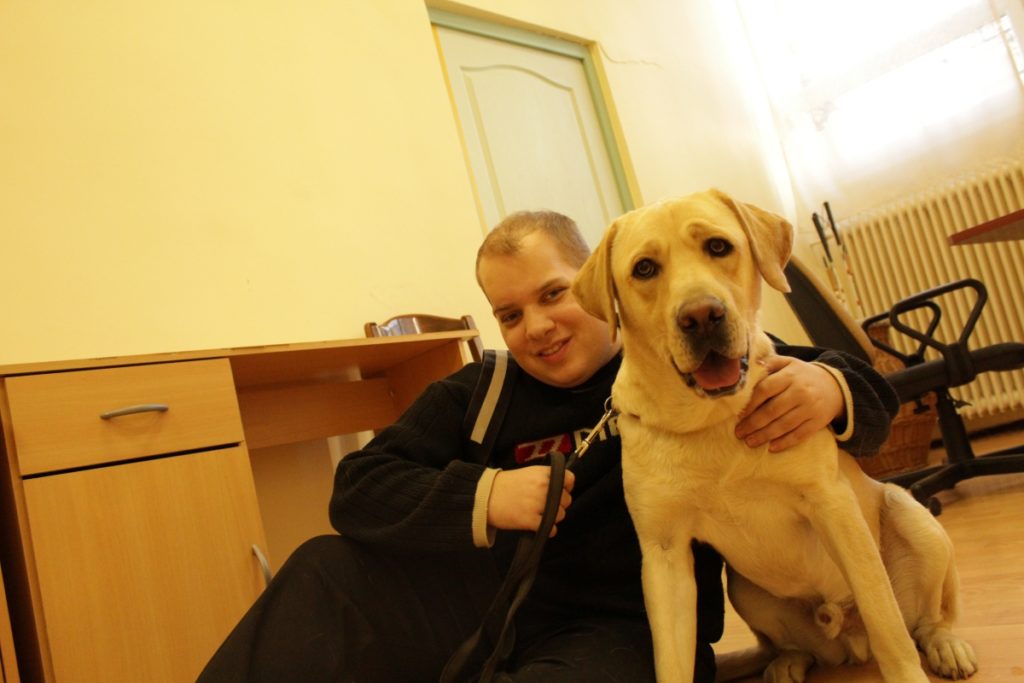 Menhelyi kutyából lett vakvezető kutyák