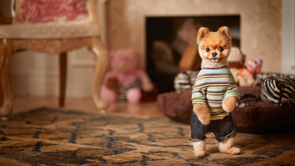 Jiff bekerült a Guinness Rekordok Könyvébe is, mert egy kutya sem tud olyan gyorsan megtenni 10 méter a hátsó lábain és öt méter a mellős lábain mint ő...állítólag.