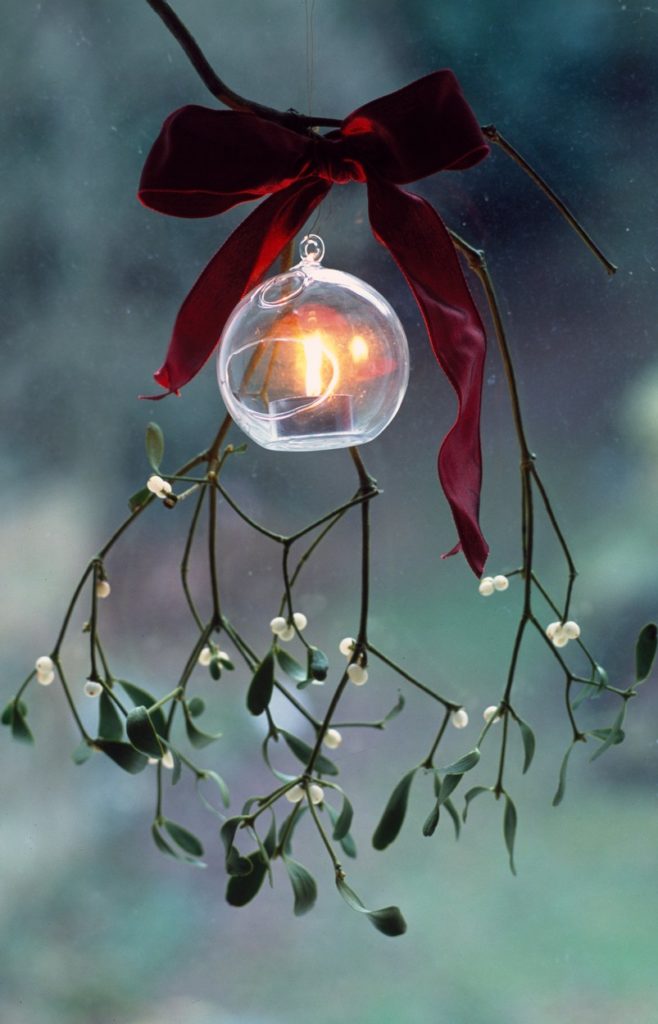 Karácsonyi fagyöngy