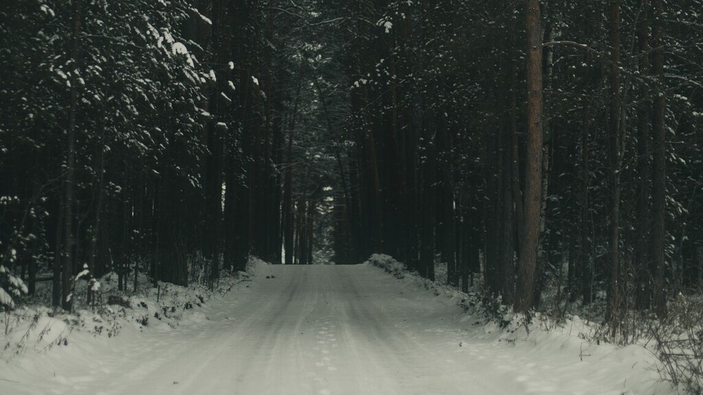 Kihalt gyapjas orrszarvú maradványai kerültek elő Jakutföldön
