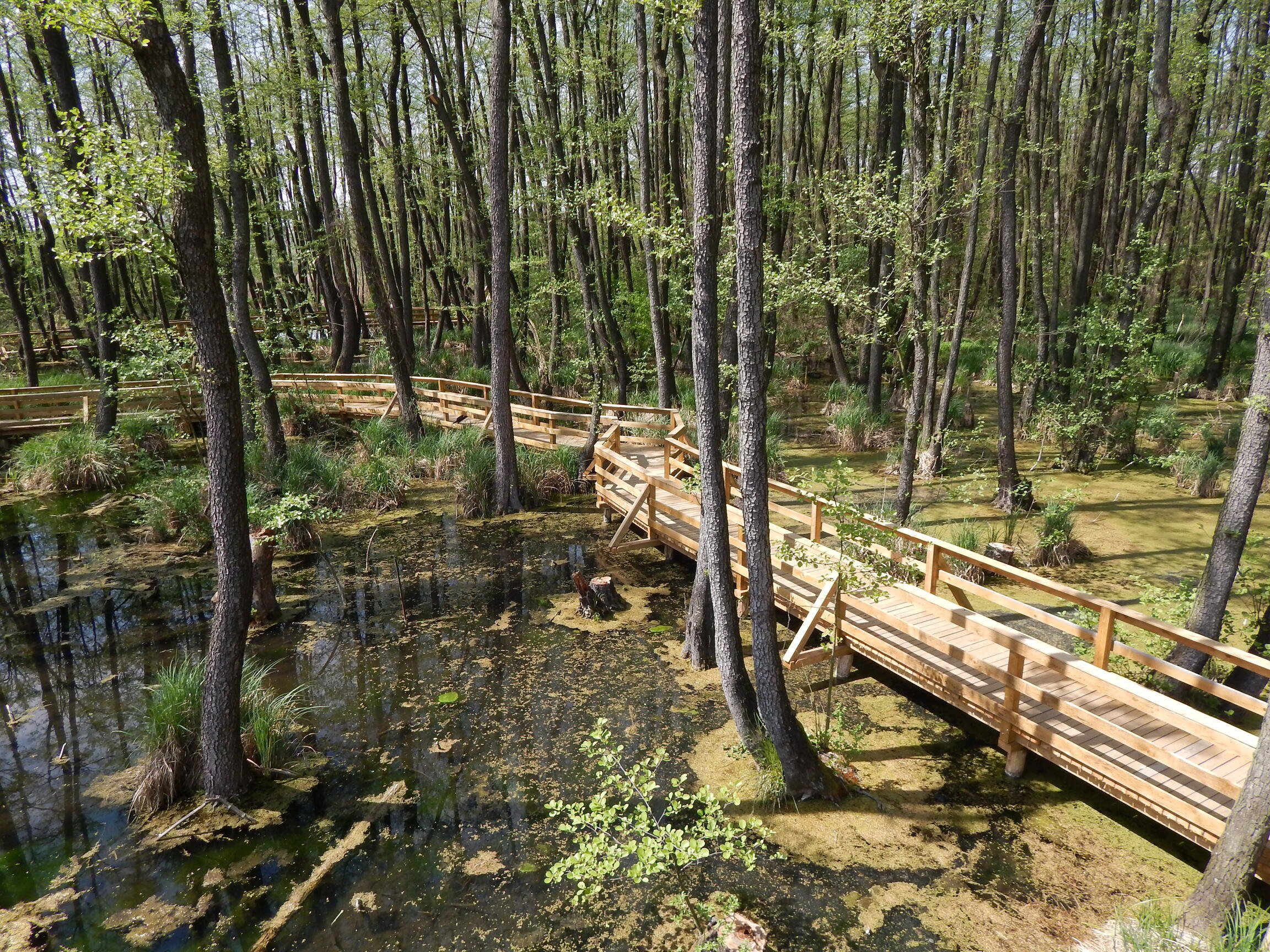 Tatai Fényes tanösvény