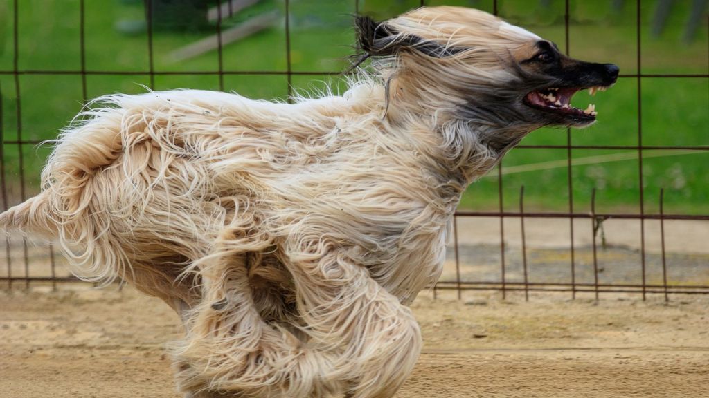 Heti horoszkóp 2021. 1. 11.