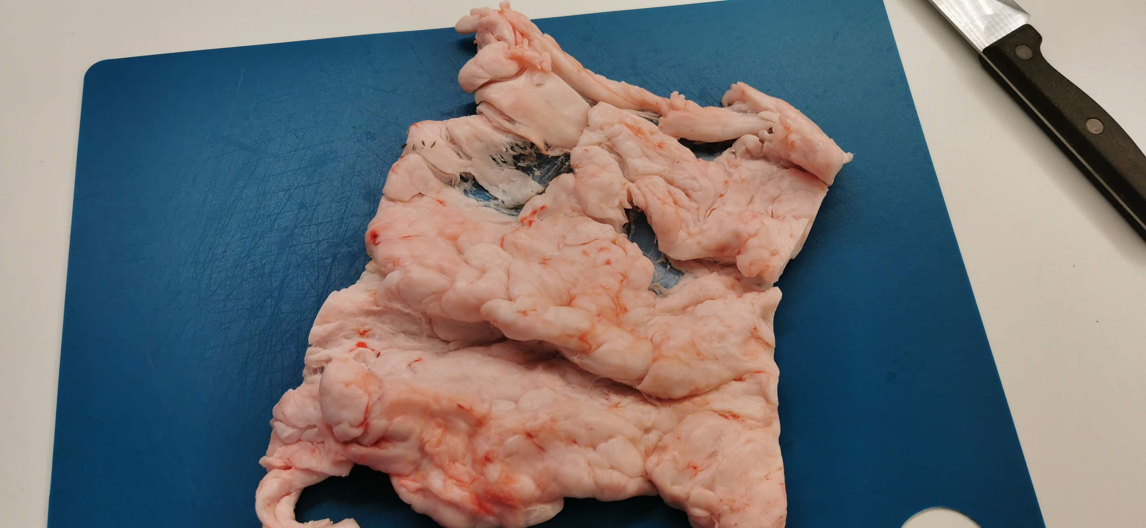 Így kell hájas tésztát sütni