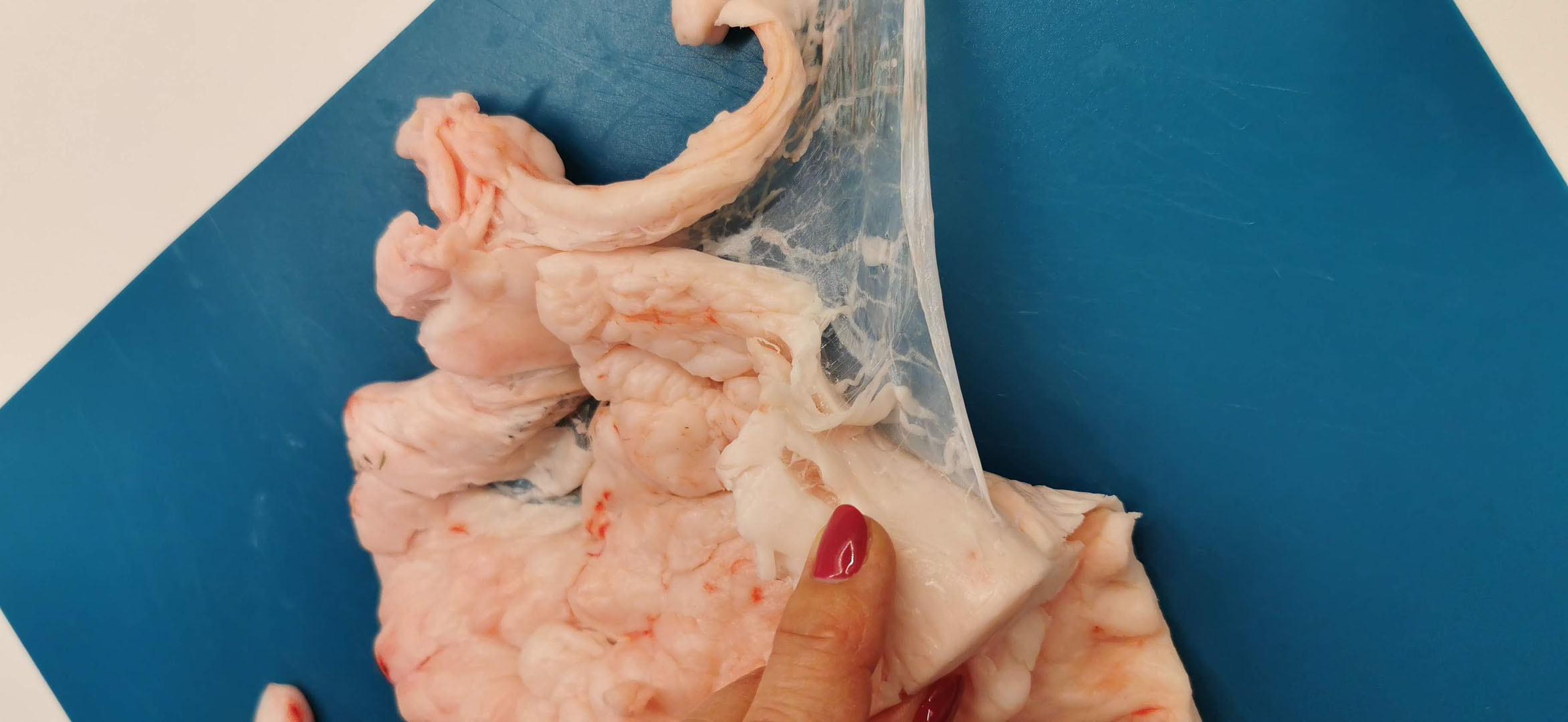 Így kell hájas tésztát sütni