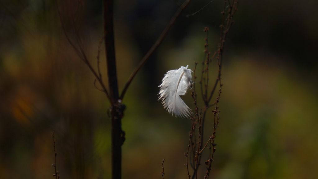 Heti angyalhoroszkóp 2021. 01. 05.