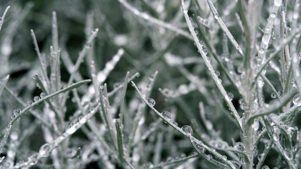 Időjárás előrejelzés