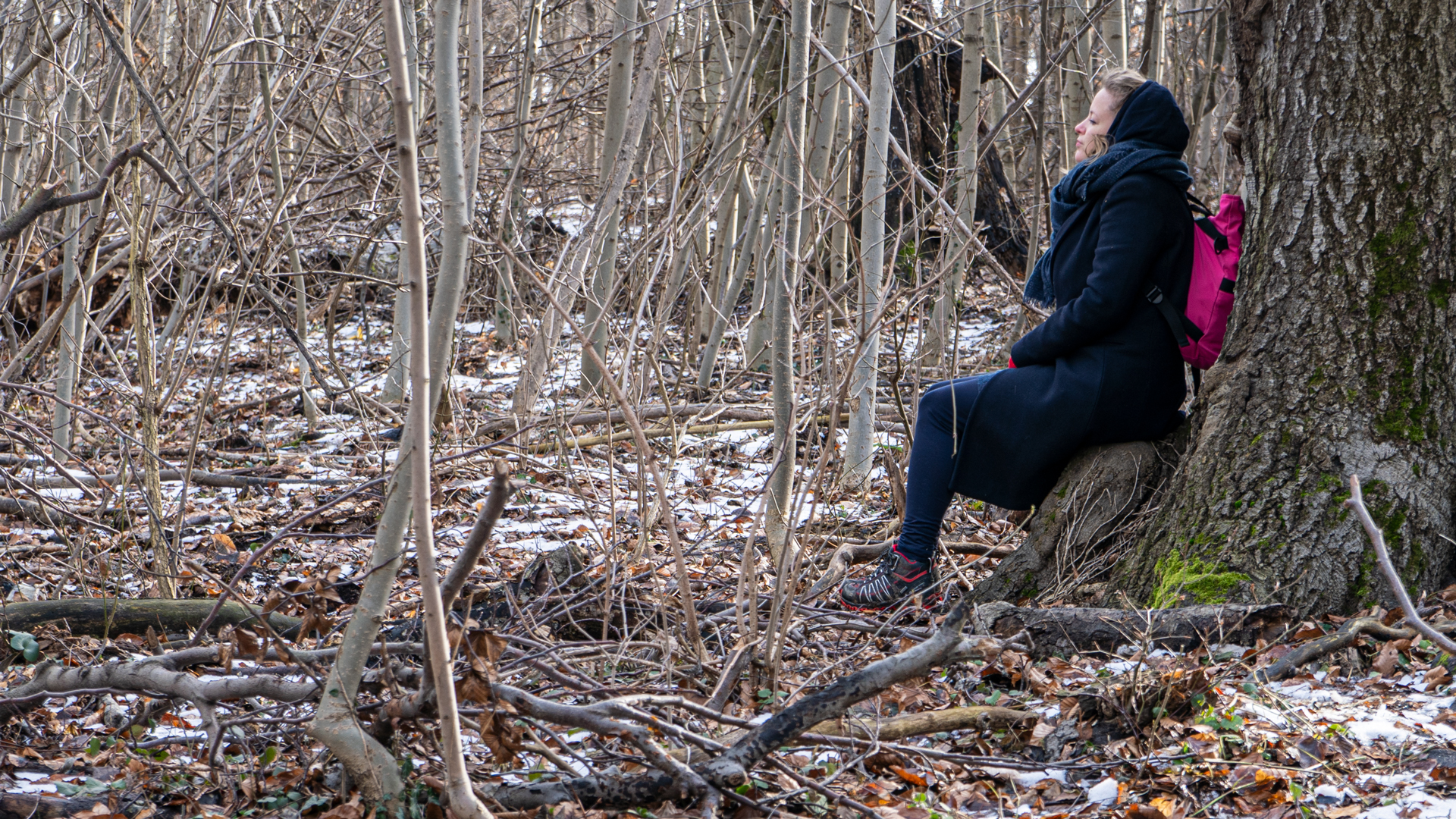 Erdőfürdő túrázás