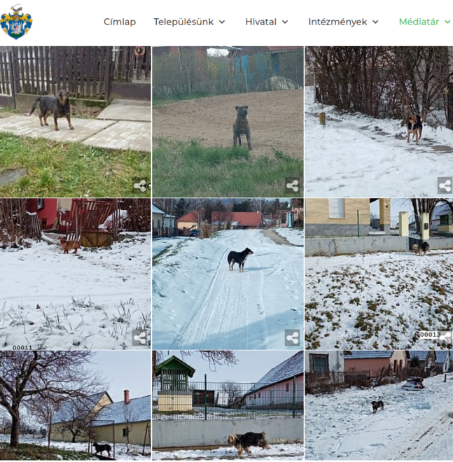 3 ktuya tartja rettegésben a karádi lakókat