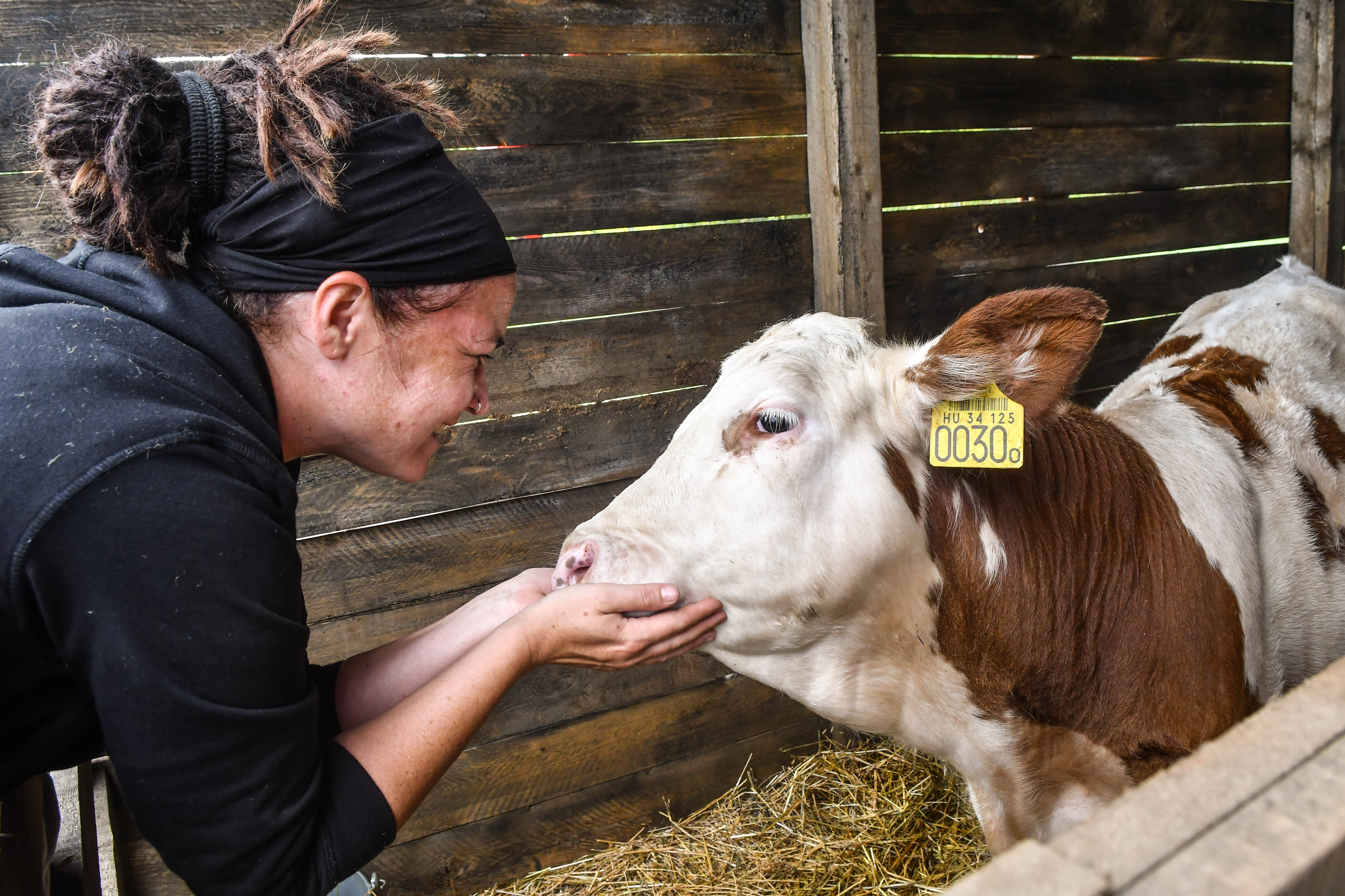 terecskei rita farm vip