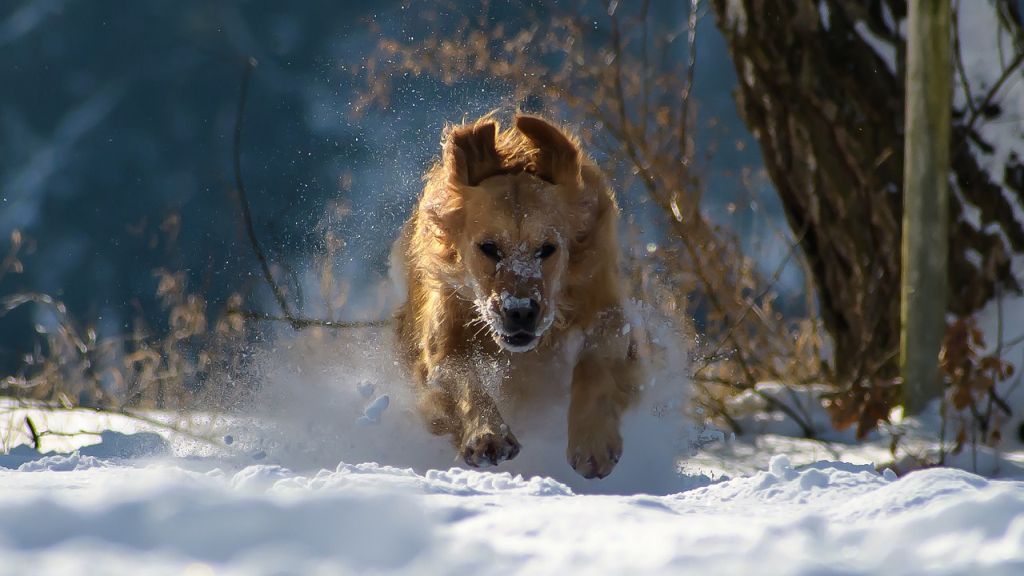 Napi horoszkóp 2021. 2. 1.