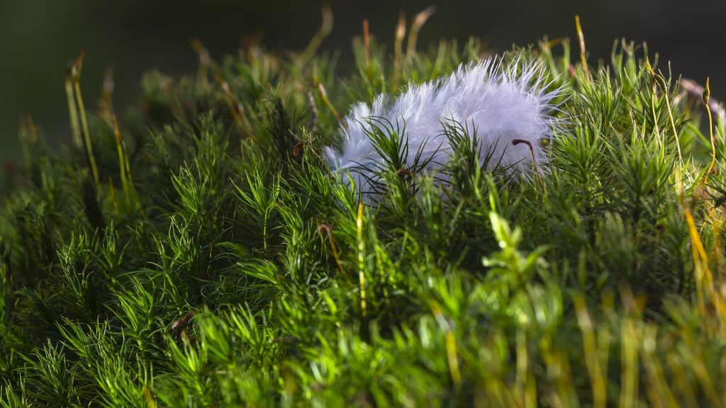 Heti angyalhoroszkóp 2021. 2. 16.