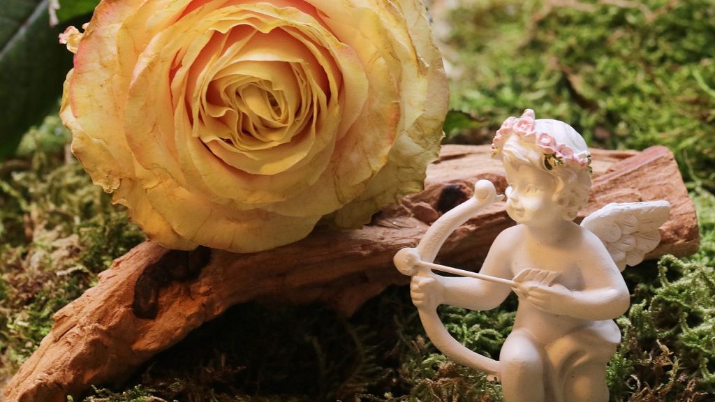 Heti angyalhoroszkóp 2021. 2. 23.