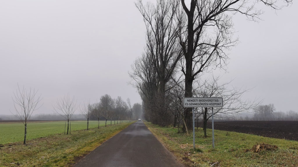 Most lehet vetőmagot kérni a génbanktól