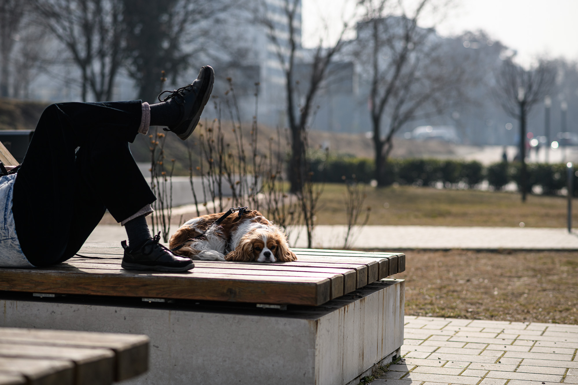 Februári tavasz Budapesten