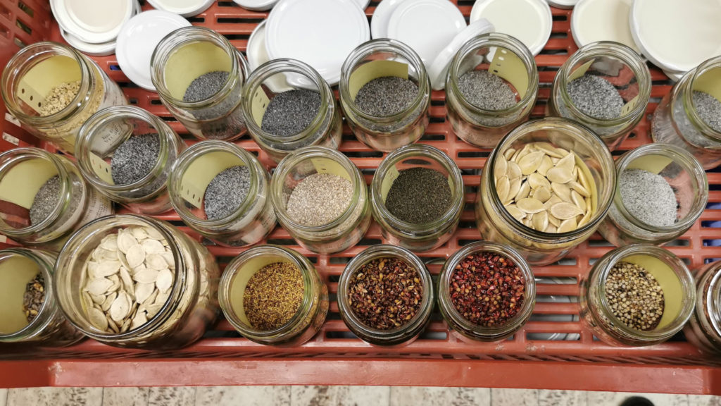 Most lehet vetőmagot kérni a génbanktól