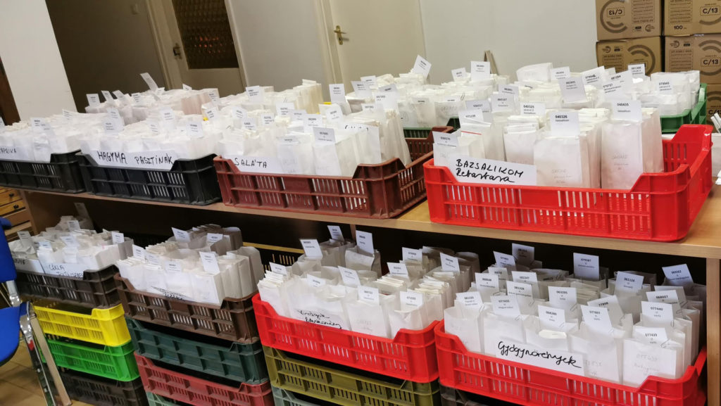 Most lehet vetőmagot kérni a génbanktól