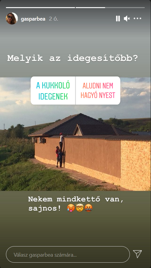 gáspár bea kukkolók