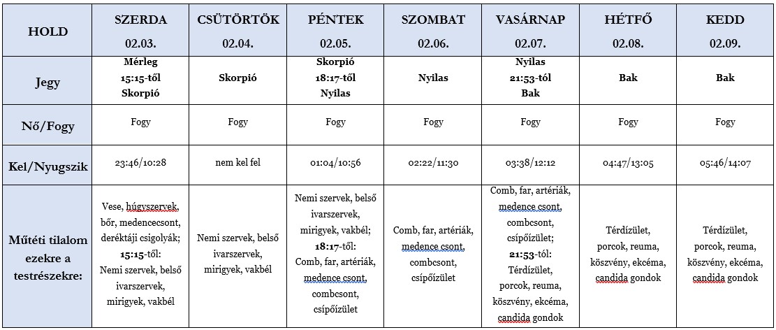 Heti holdhoroszkóp táblázat 2021. 02. 03-09.