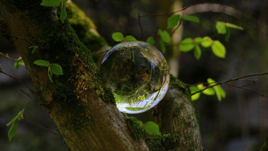 A Hold a növények különböző részeire hat