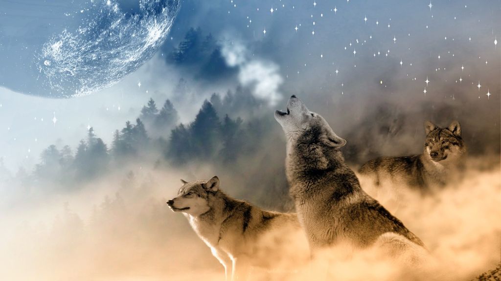 Az állatokra is hatással vannak a Hold ciklusai