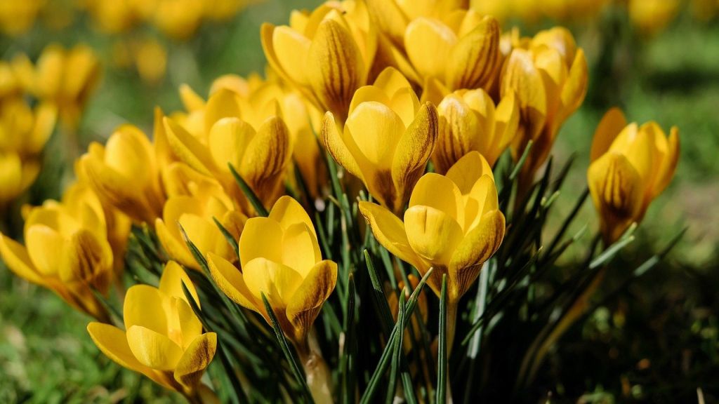 Heti horoszkóp 2021. 3. 1.