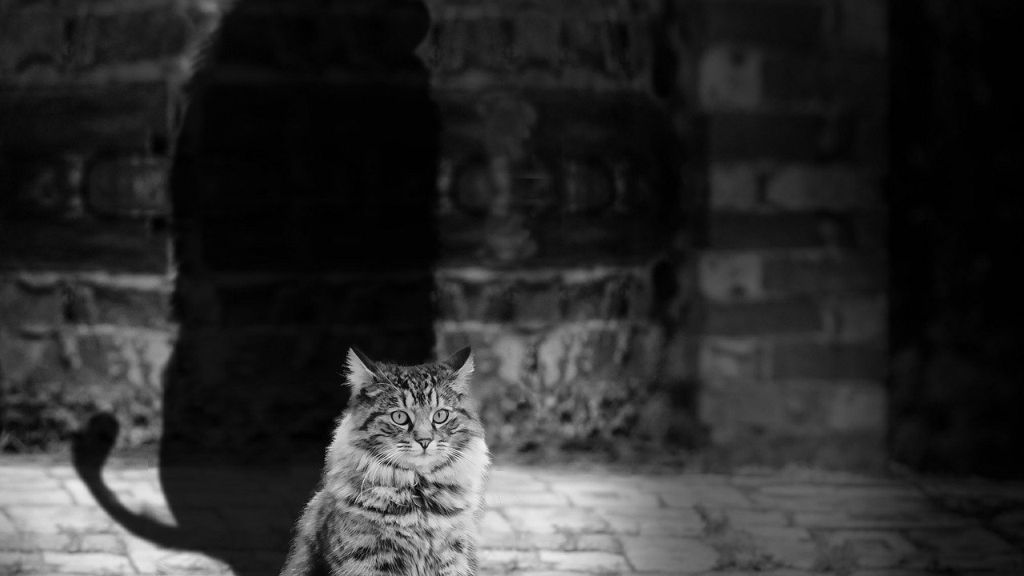 Napi horoszkóp 2021. 3. 7.