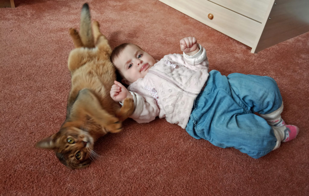 Macskaterápia Magyarországon: így segítenek a cicák