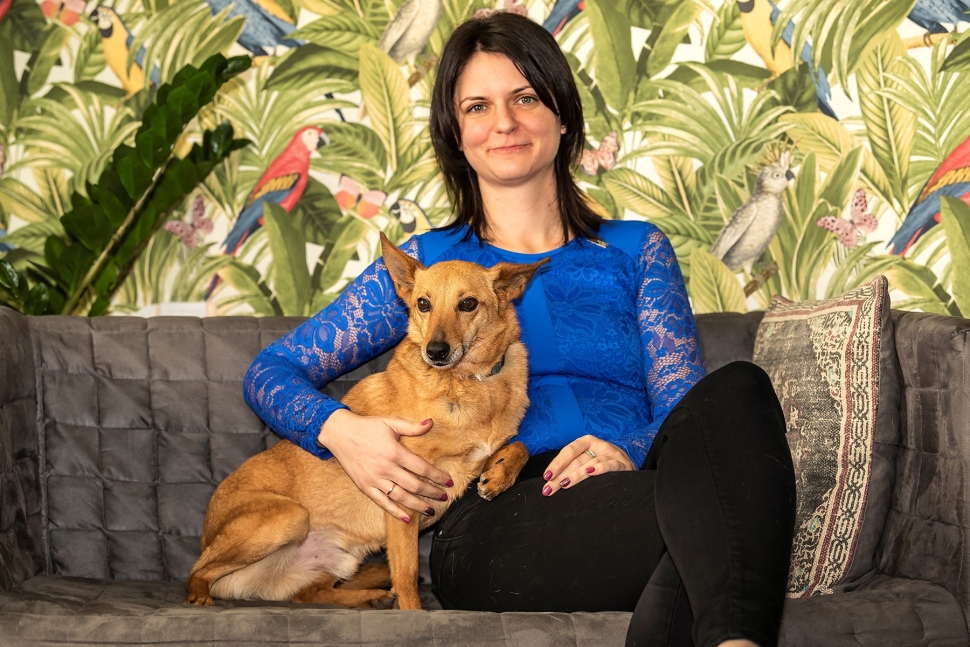 Macskaterápia Magyarországon: így segítenek a cicák