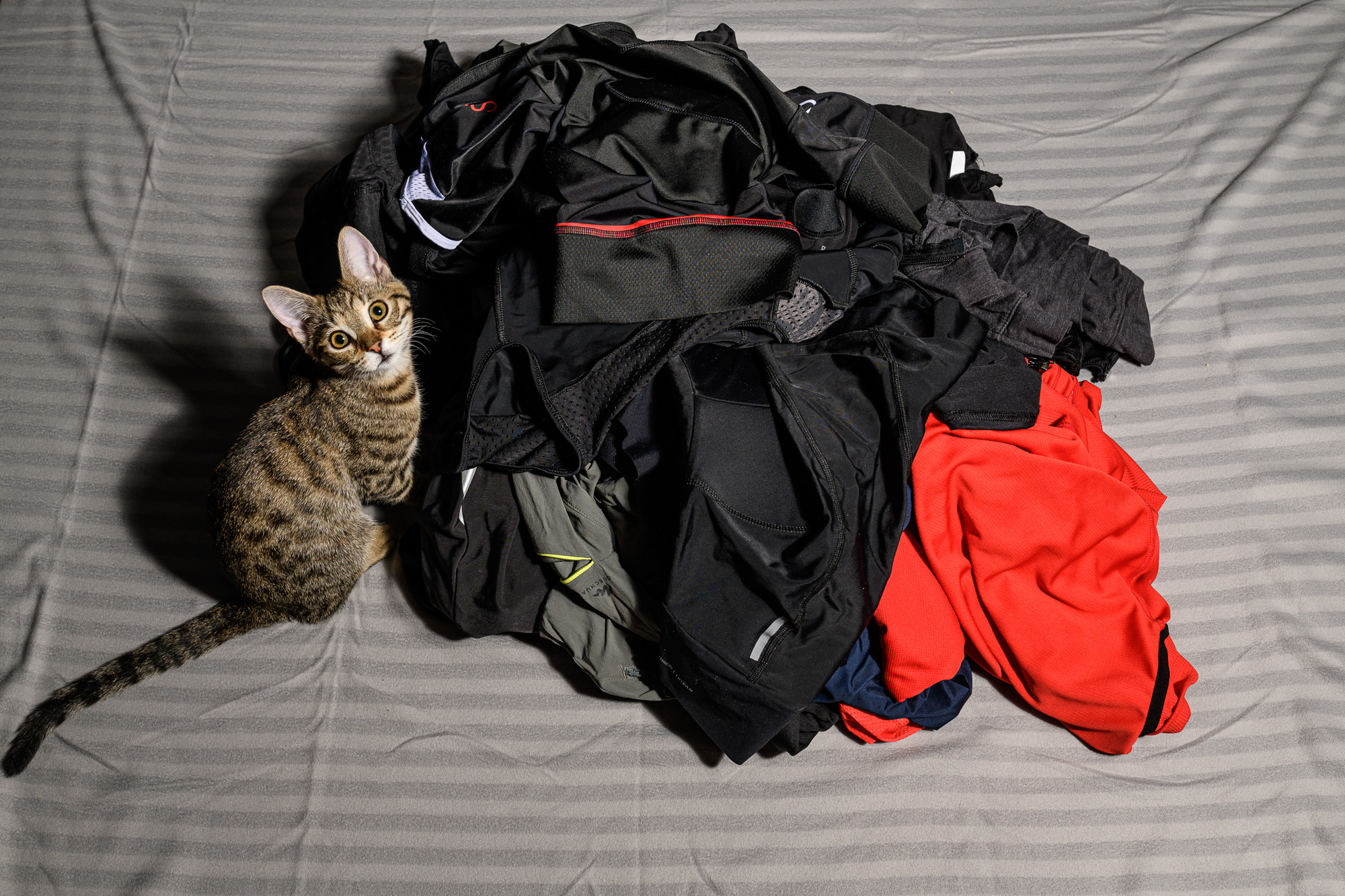 Minimalista kihívás