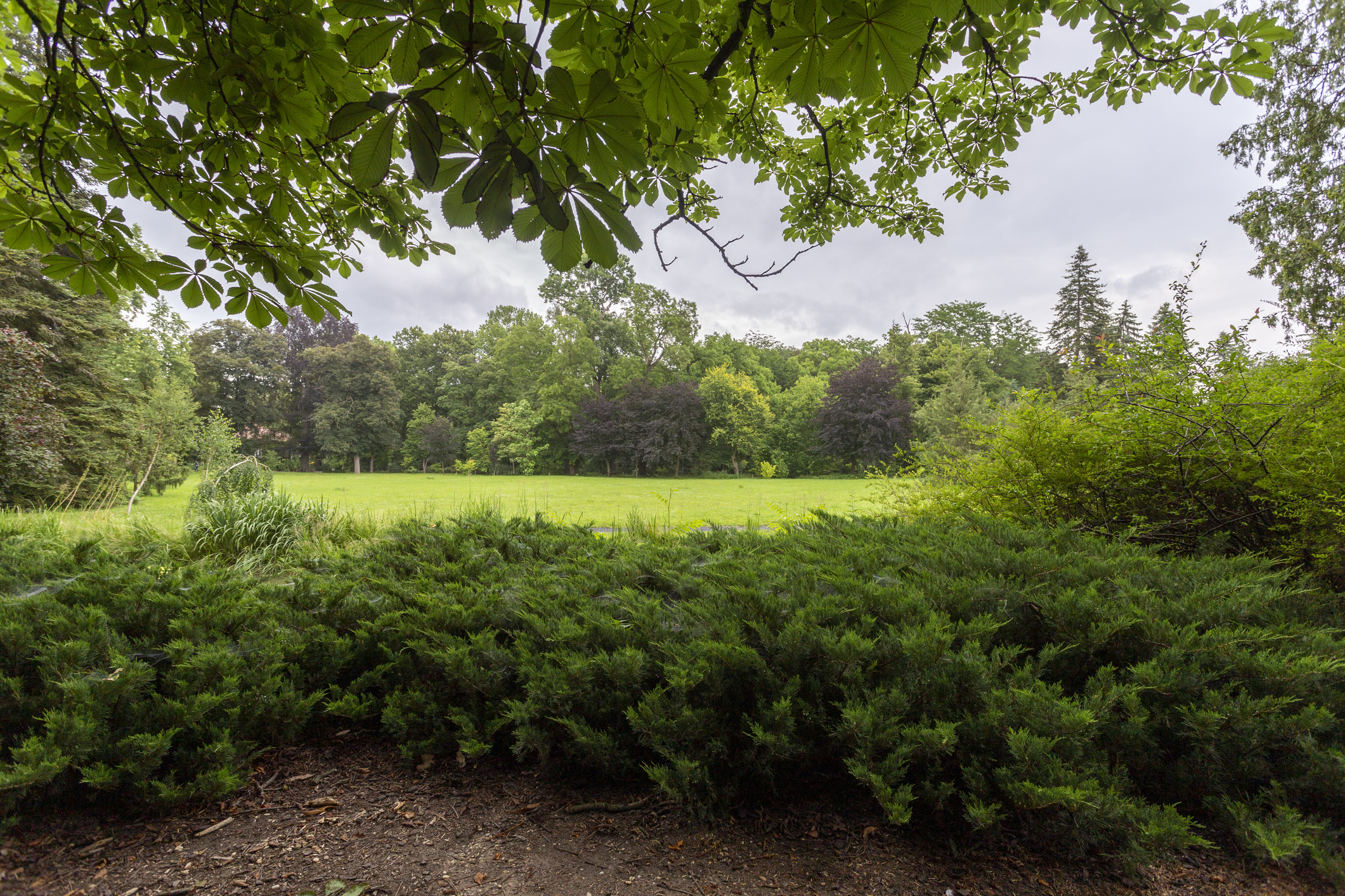 Vácrátóti Botanikus Kert