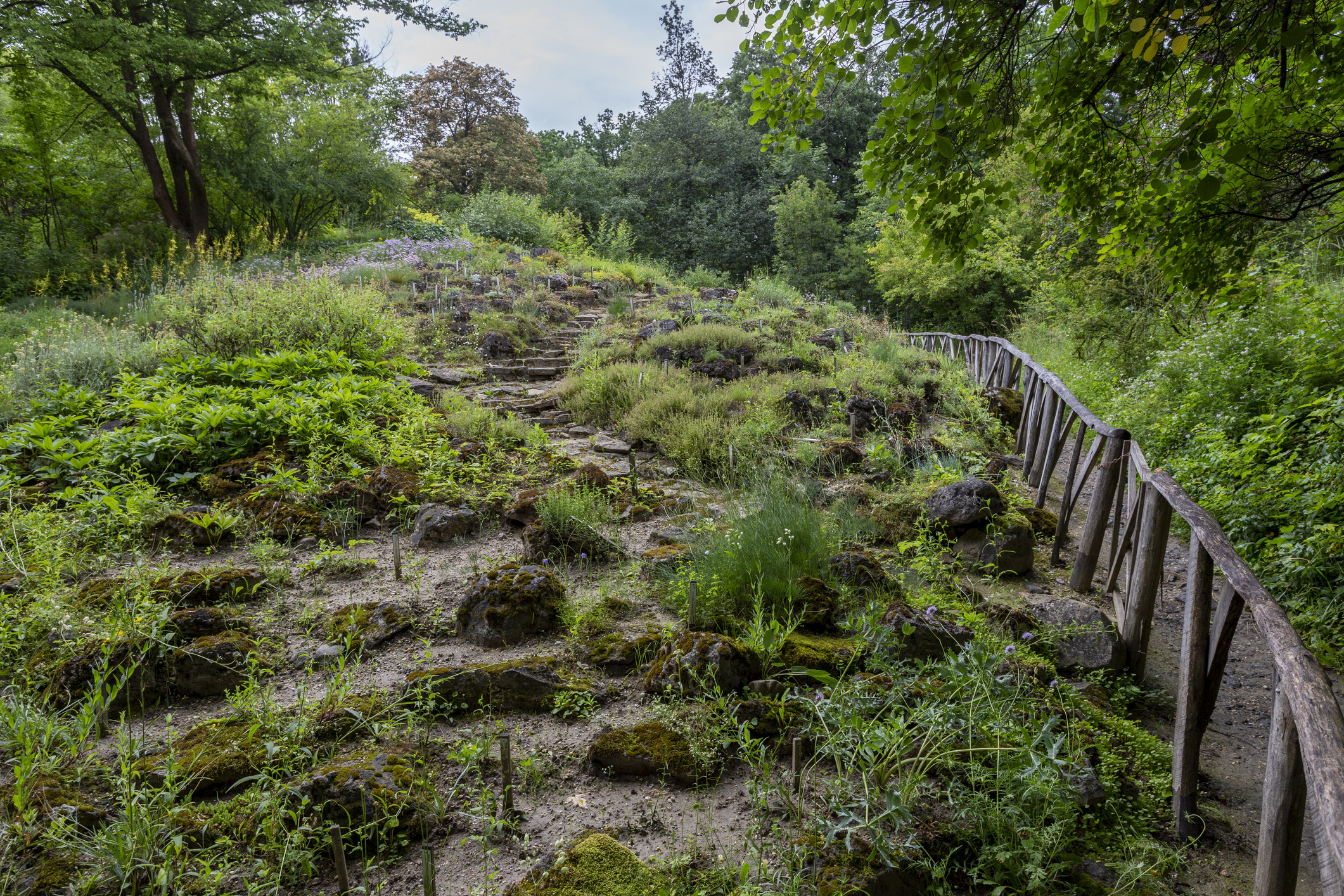 Vácrátóti Botanikus Kert