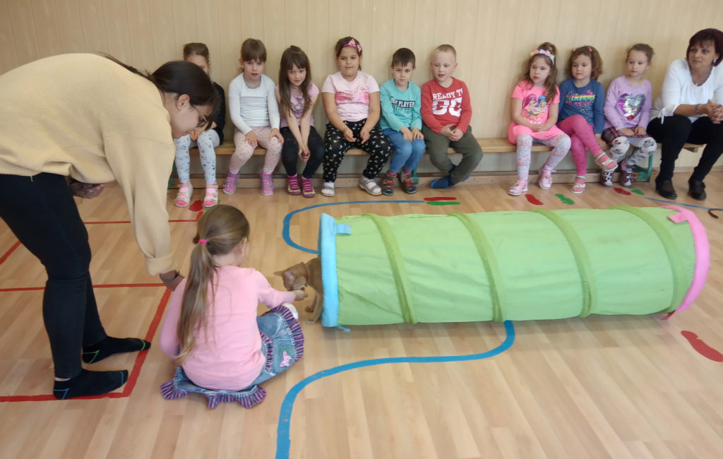 Így lesz a cicákból igazi tanítómester