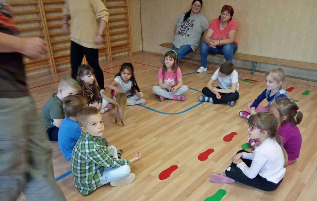 Így lesz a cicákból igazi tanítómester