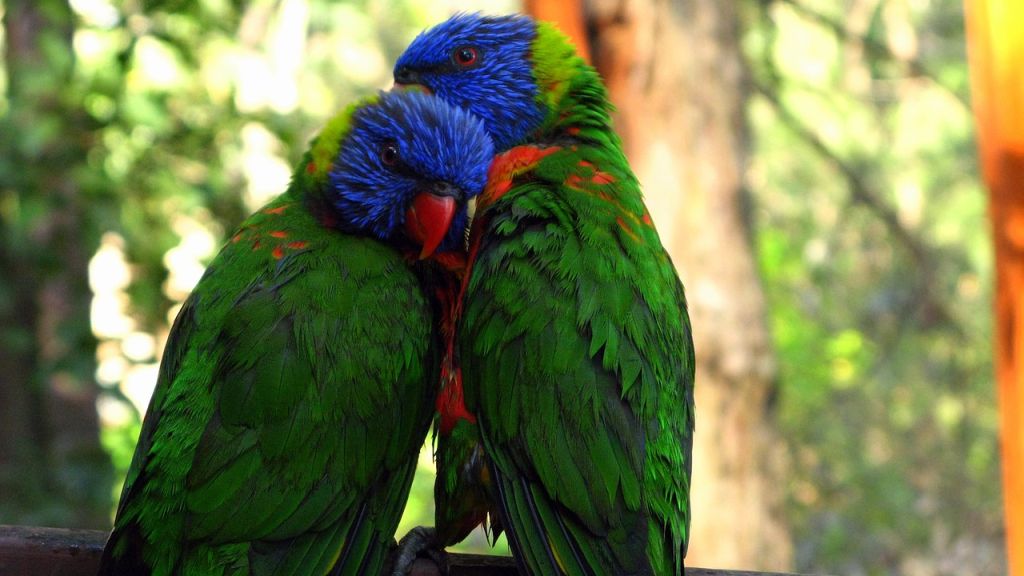 Hétvégi szerelmi horoszkóp