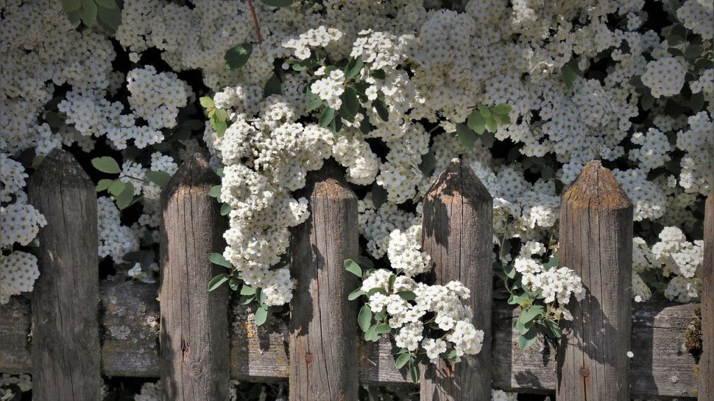 Áprilisi horoszkóp