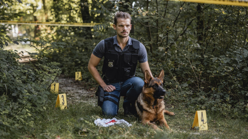 Rendőrkutyákat vetnek be a koronavírus ellen