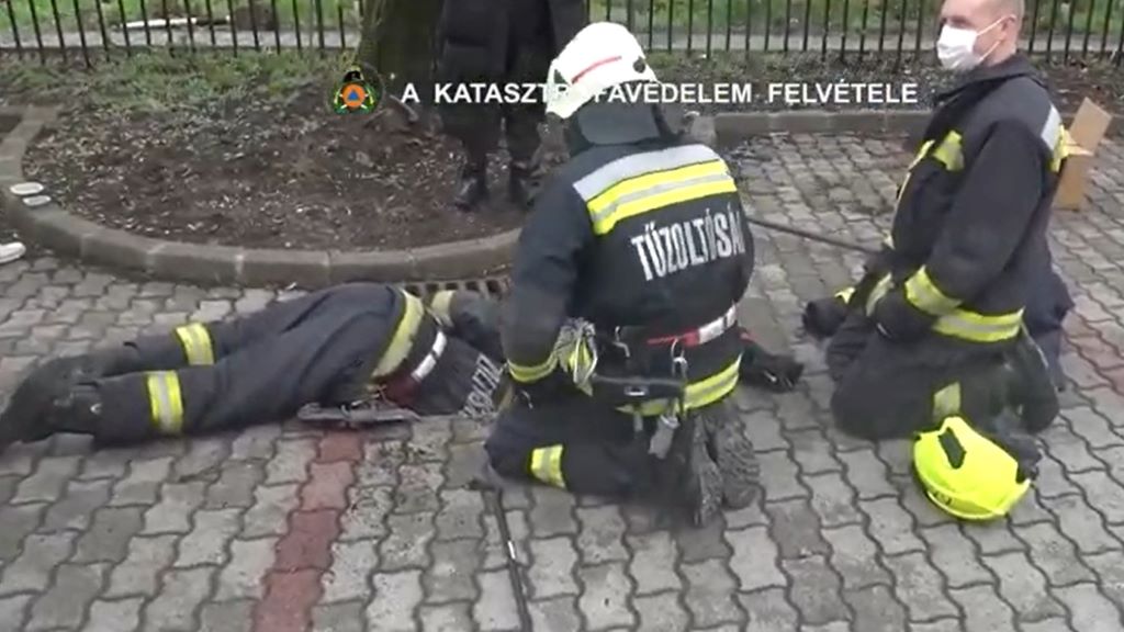 macskák, tűzoltók, mentés