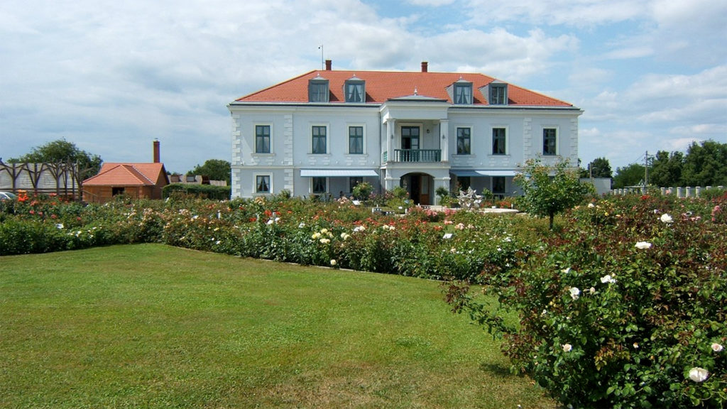 Nagyaron áll a fa, amely alatt ülve Petőfi megírta a legszebb versét