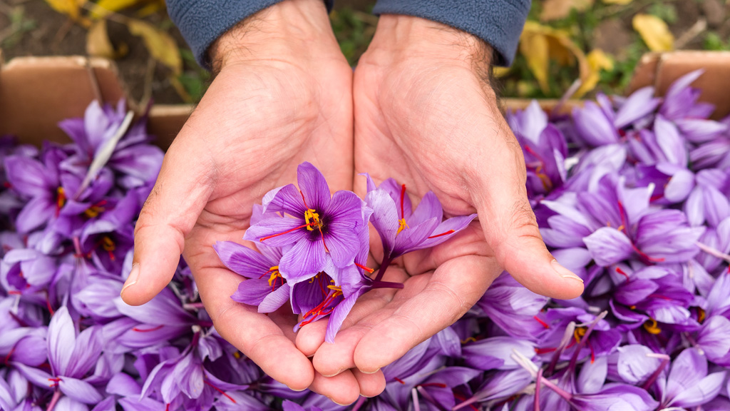 Fesd át a rosszkedved, fesd át az életed! (x)