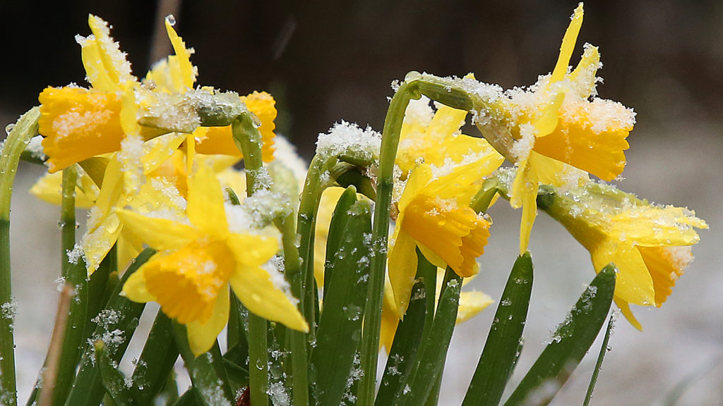 Hétvégén már a 20 fokot is elérheti a hőmérséklet